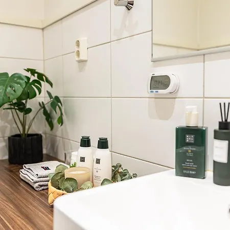 Northern Lights Kota By Booklapland Rovaniemi